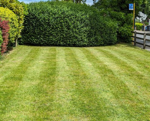 Just A Mowment Lawn Care Bournemouth