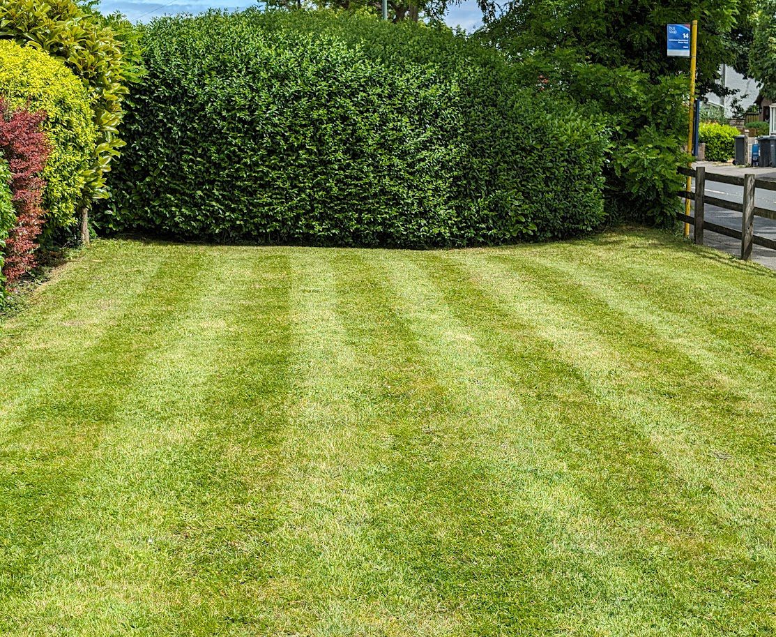 Just A Mowment Lawn Care Bournemouth