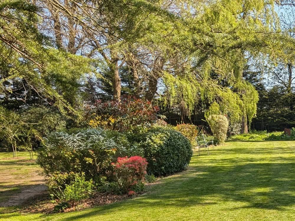 Garden and Fence Service Bournemouth Based