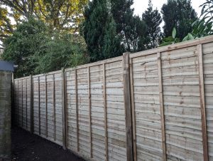 Waney Fencing Redhill