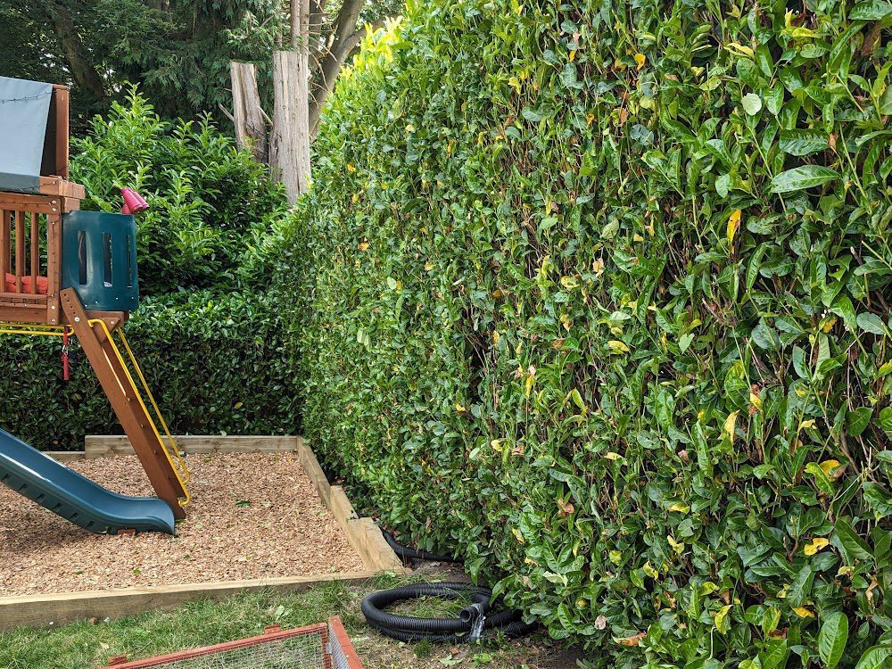 Just A Mowment Garden u0026 Property Services | 07881 095737